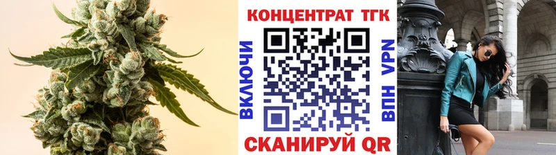 Купить закладки  Приозерск  ТГК концентрат 