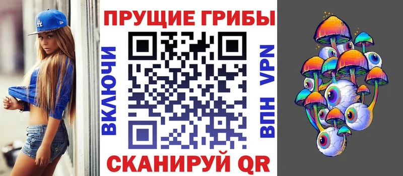 Галлюциногенные грибы GOLDEN TEACHER  Купить  Приозерск 